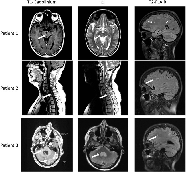 Figure 1