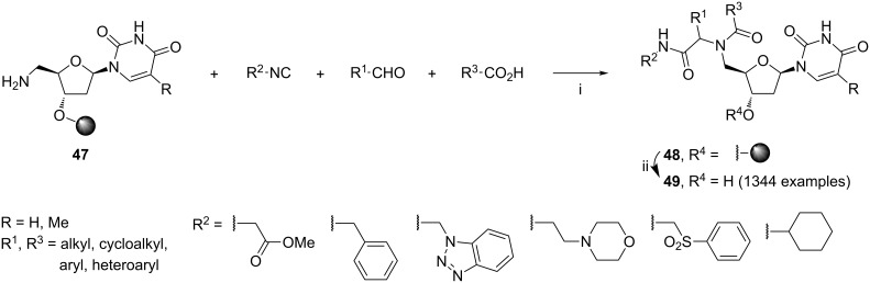 Scheme 19