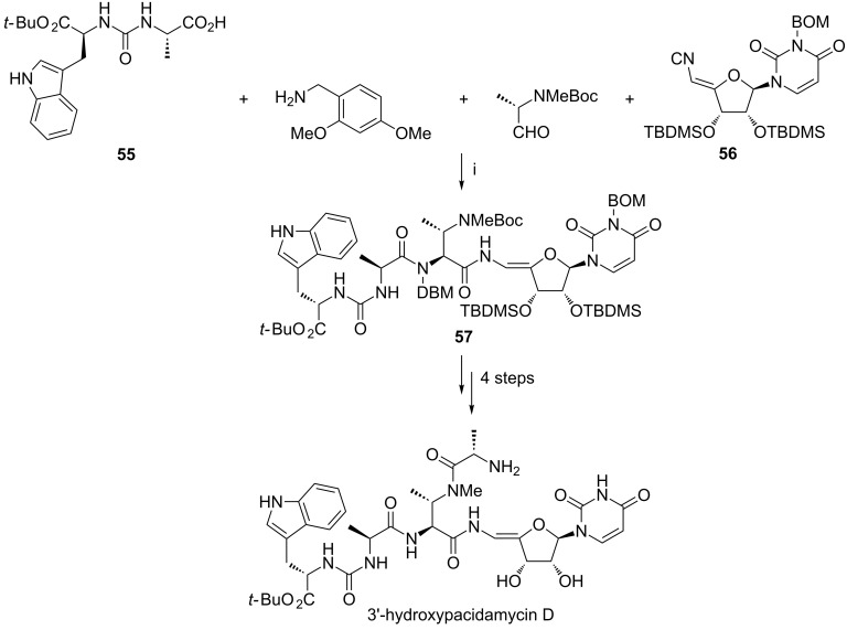 Scheme 22