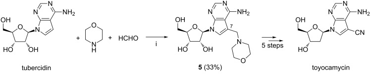 Scheme 3