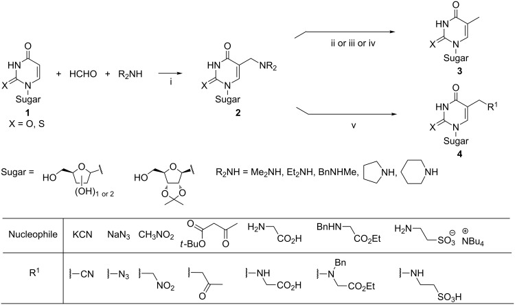 Scheme 2