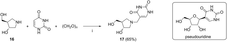 Scheme 7
