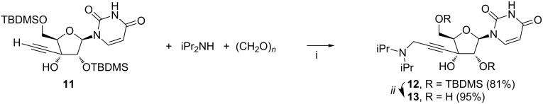 Scheme 5