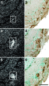 Fig. 8.