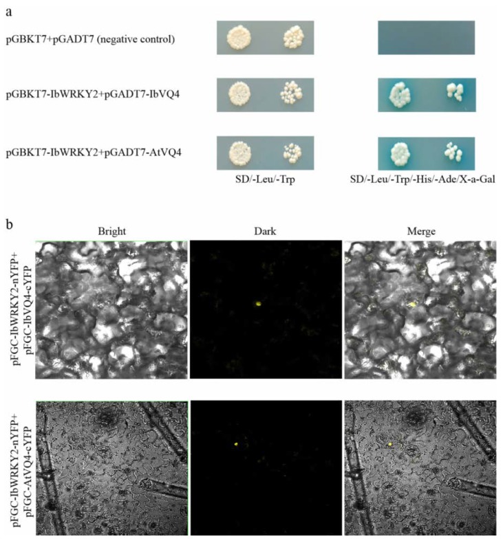 Figure 10