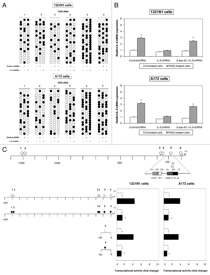 Figure 4. 