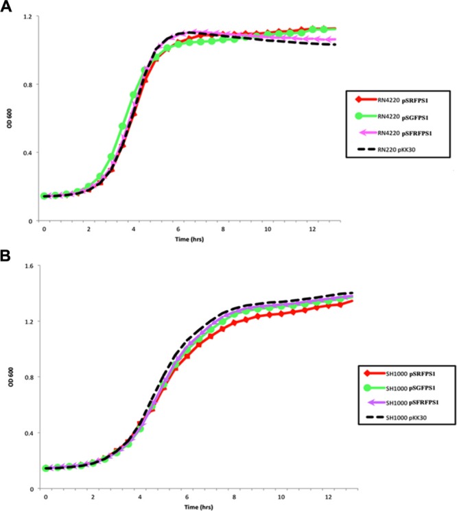 FIGURE 2