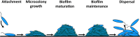 FIG 1