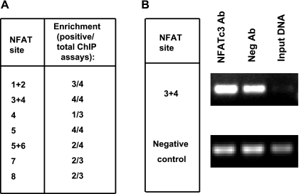 Fig. 9.