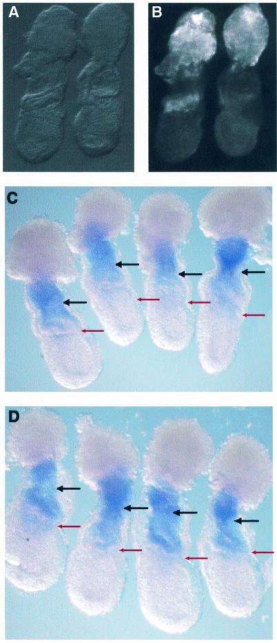 FIG. 9.