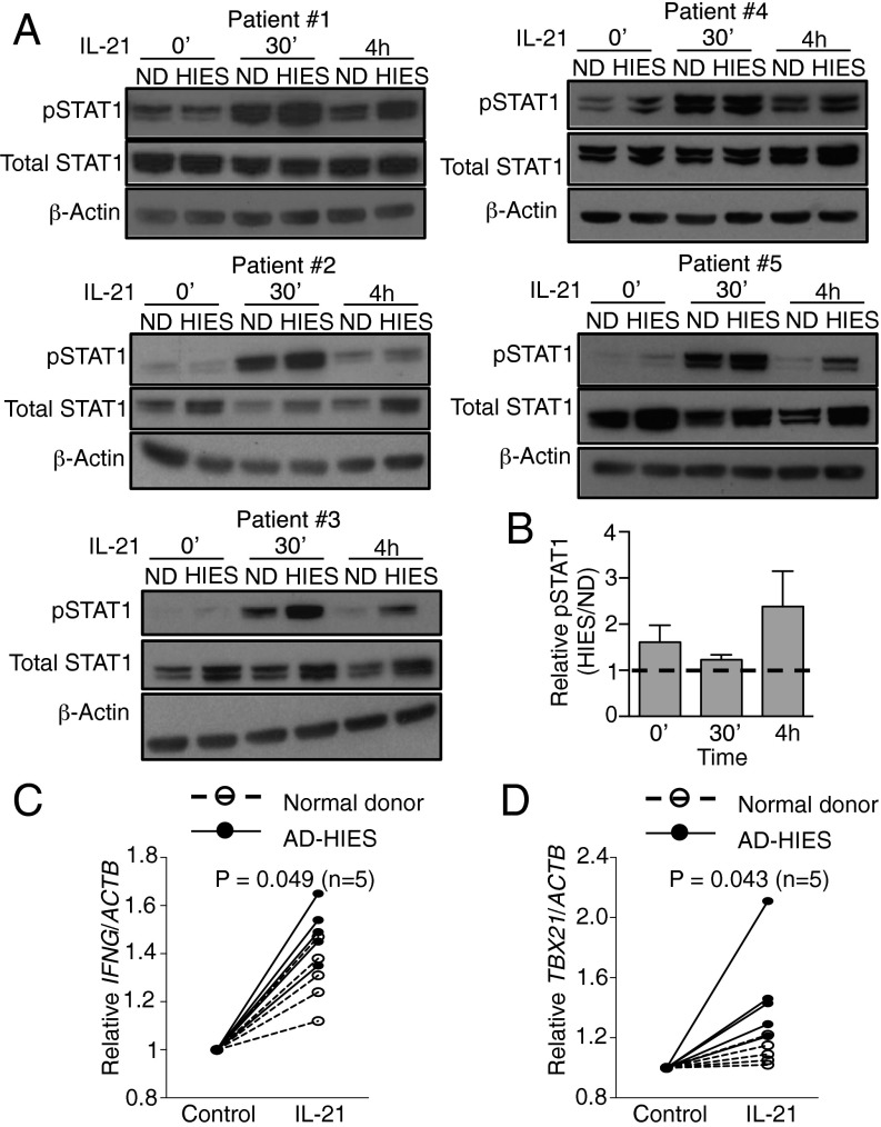 Fig. 6.