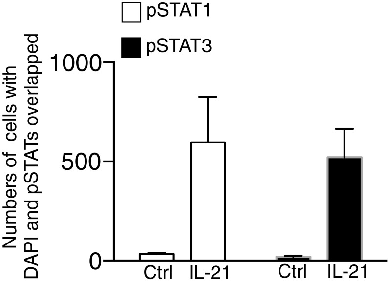 Fig. S1.