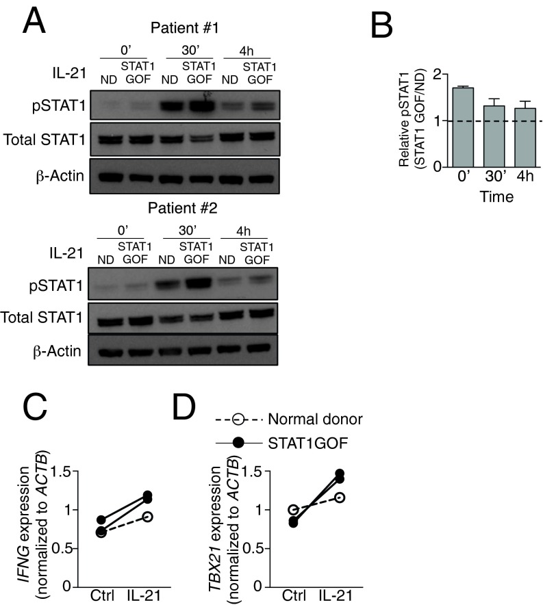 Fig. S3.