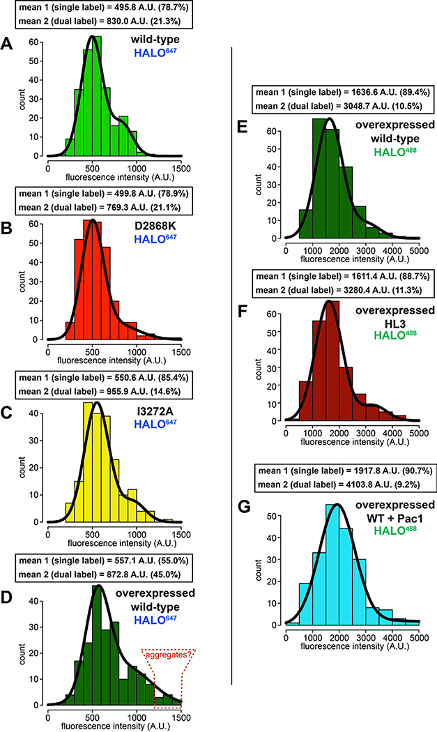 Extended Data Figure 2.