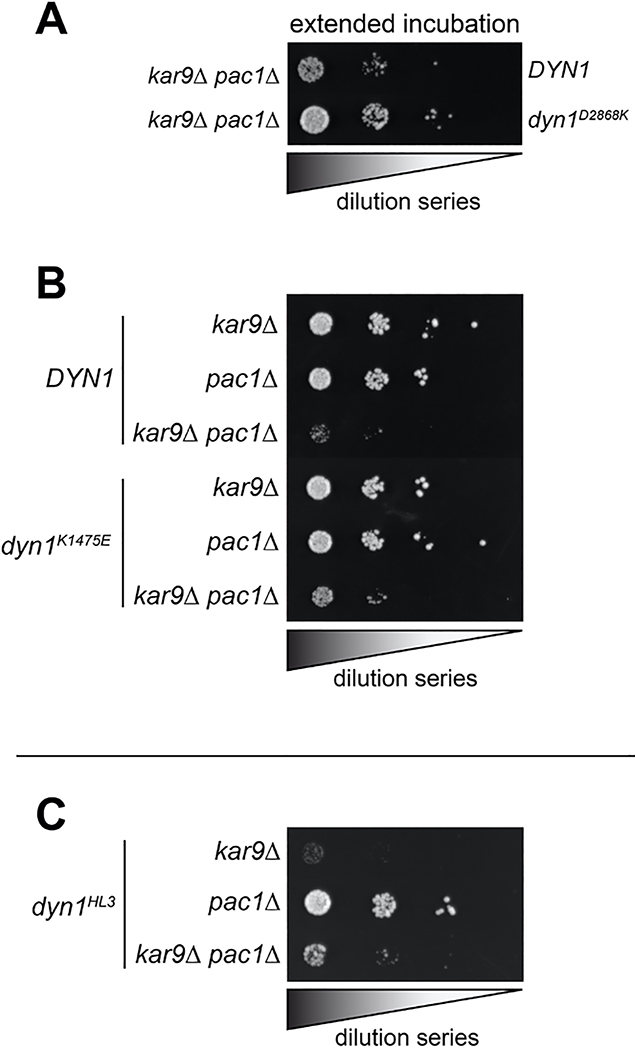 Extended Data Figure 5.