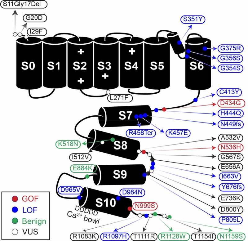 Figure 1.