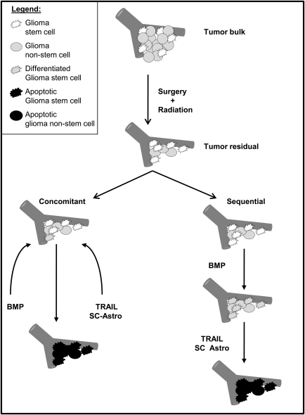 Fig. 1.