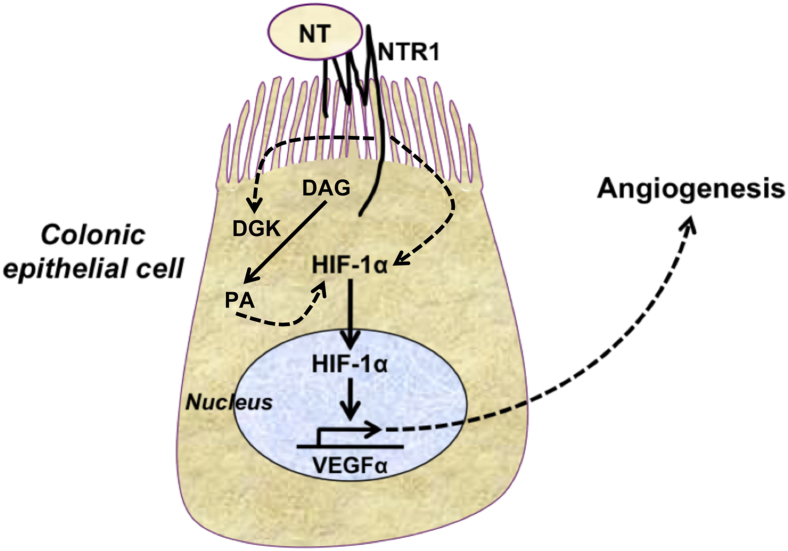 Figure 6