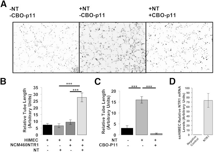 Figure 5