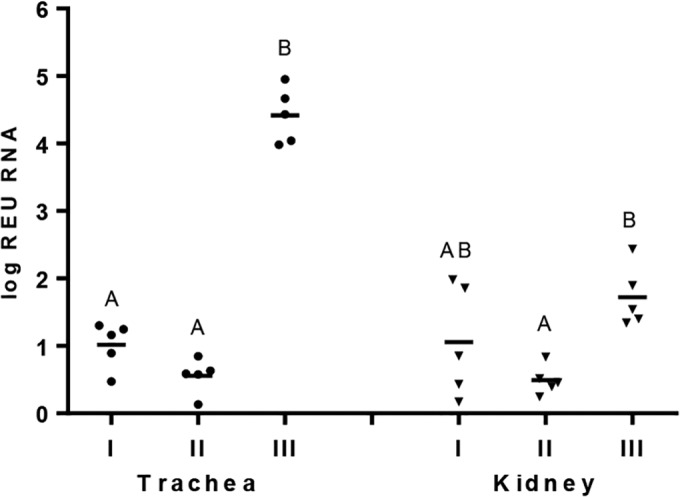 FIG 6