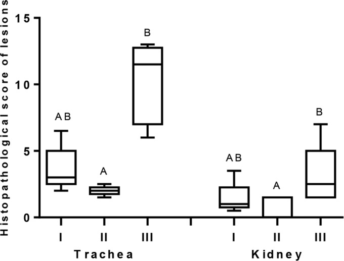 FIG 7