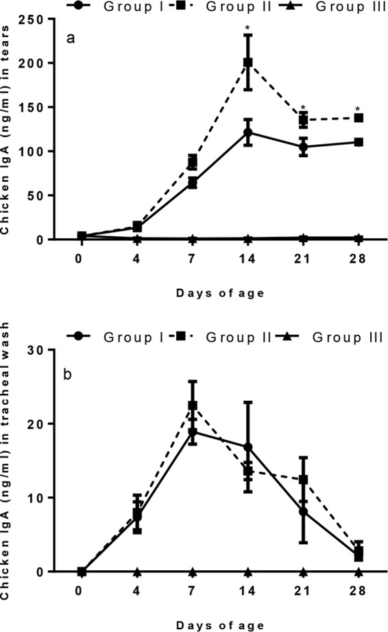 FIG 2