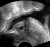 Fig. 9.