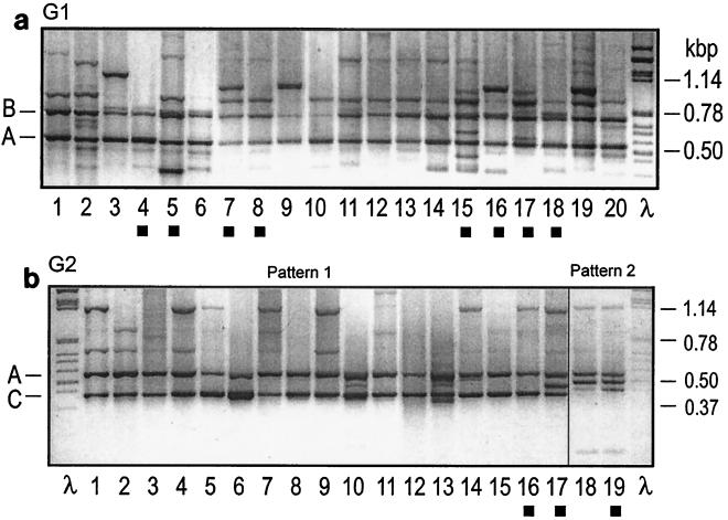 FIG. 1