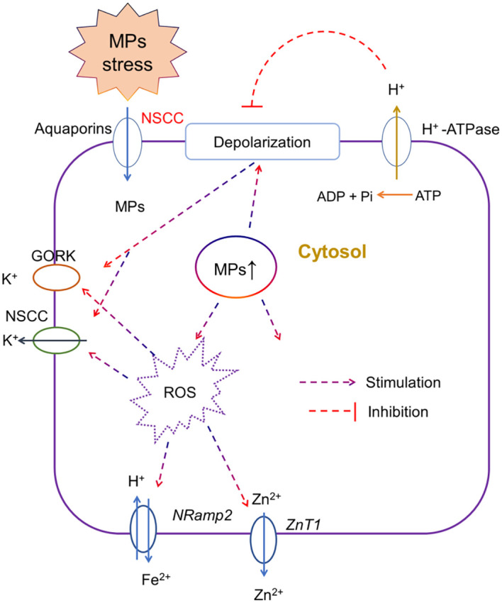 Figure 3