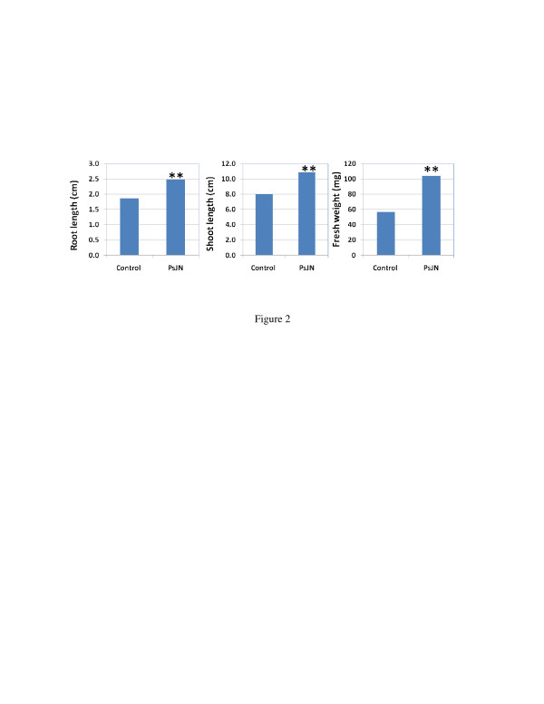 Figure 2 