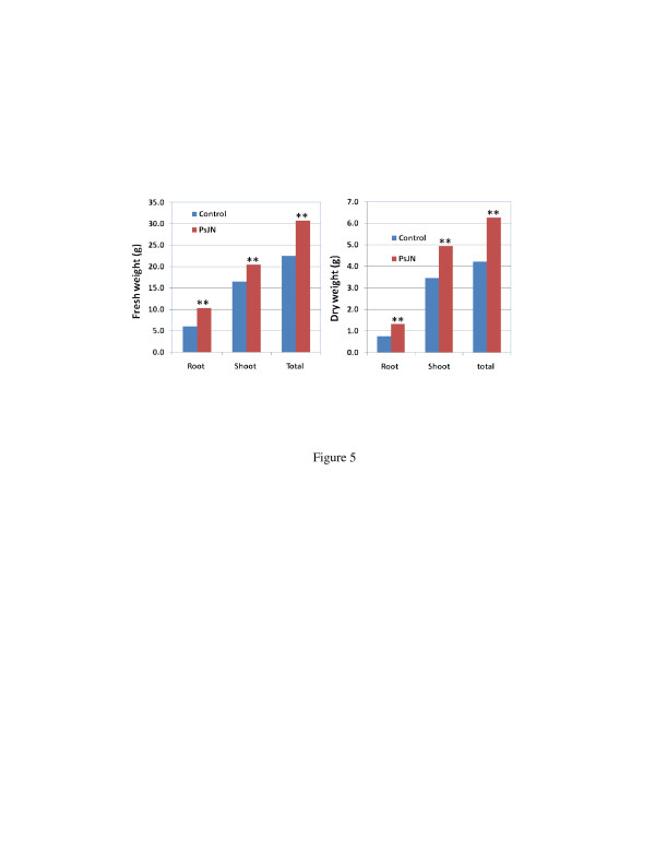 Figure 5 