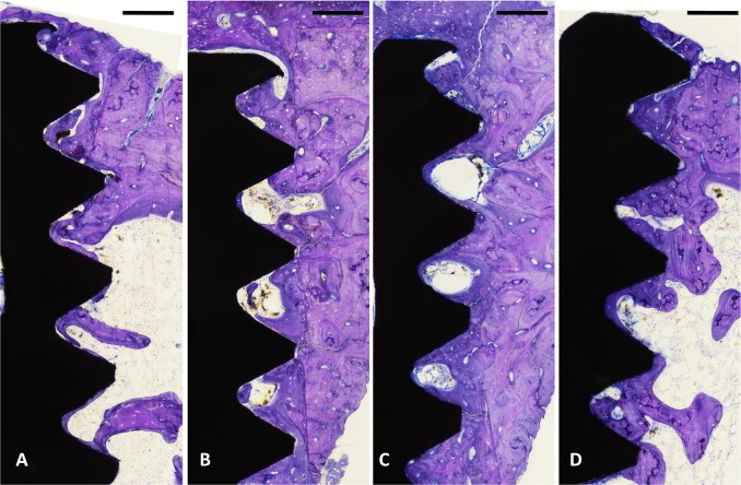 Fig. 9