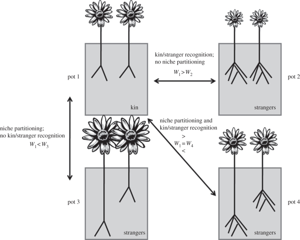 Figure 1.