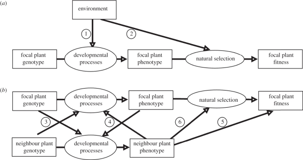 Figure 2.