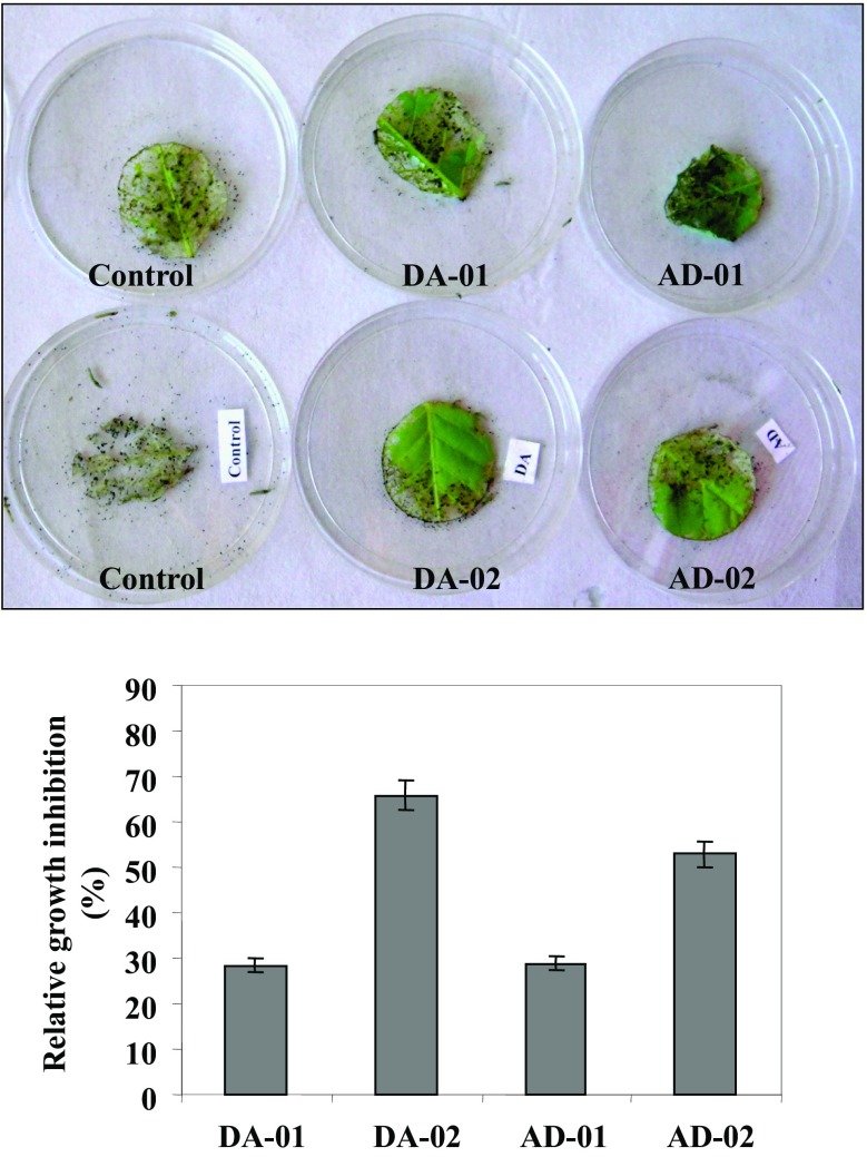 Fig. 8