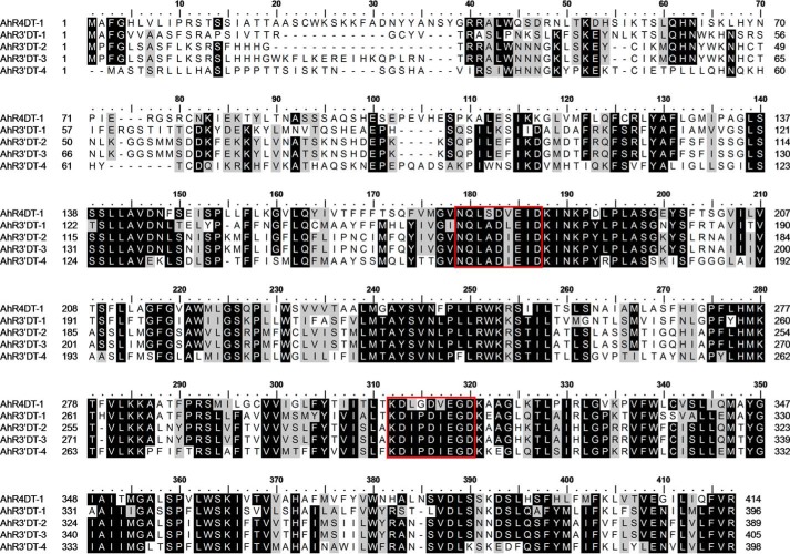 Figure 3.