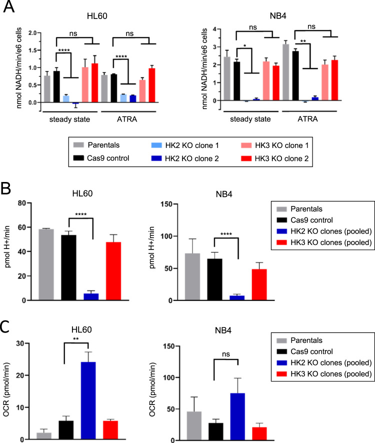 Hexokinase 3 enhances myeloid cell survival via non-glycolytic ...