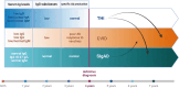 Graphical Abstract