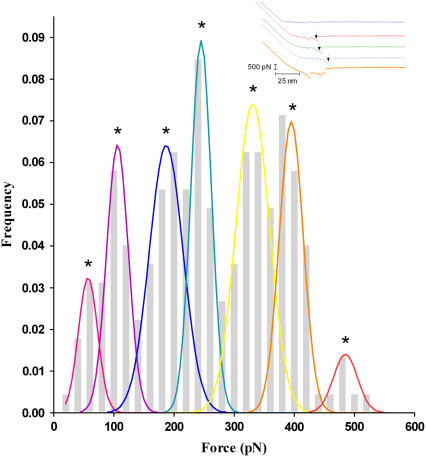 FIGURE 3