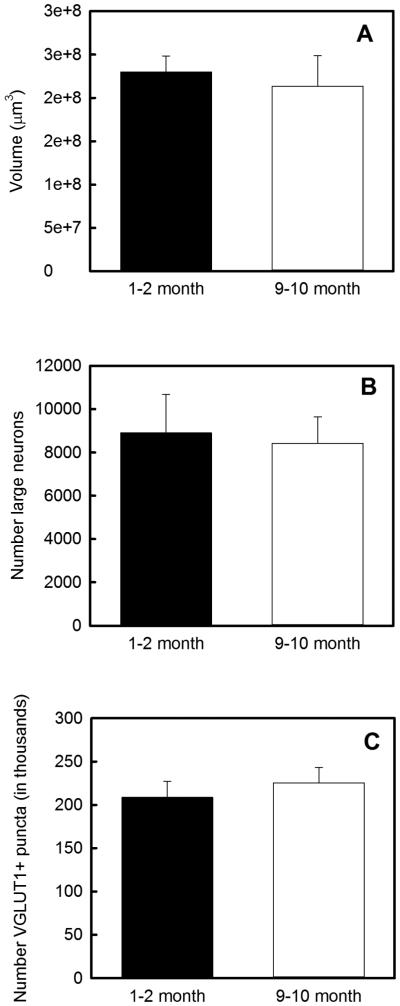 Figure. 3