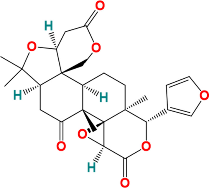 FIGURE 1