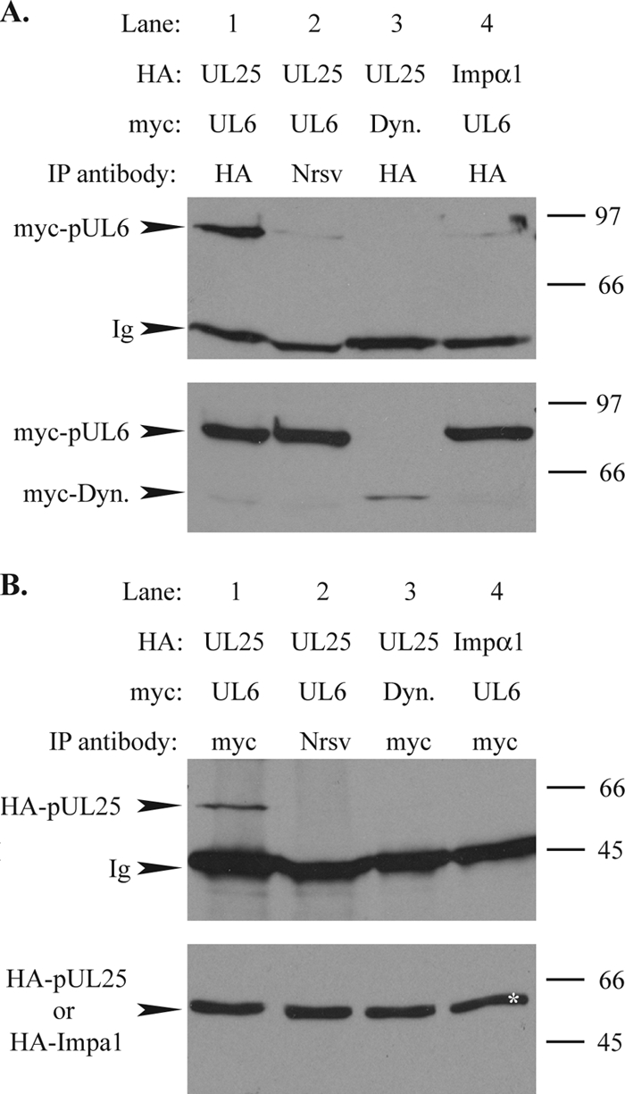 FIG. 7.