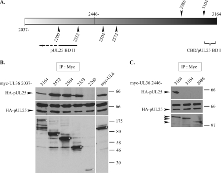 FIG. 9.