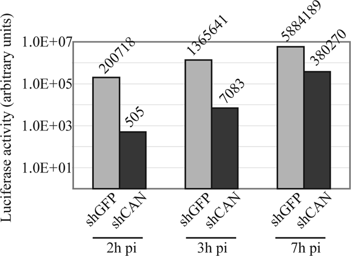 FIG. 4.