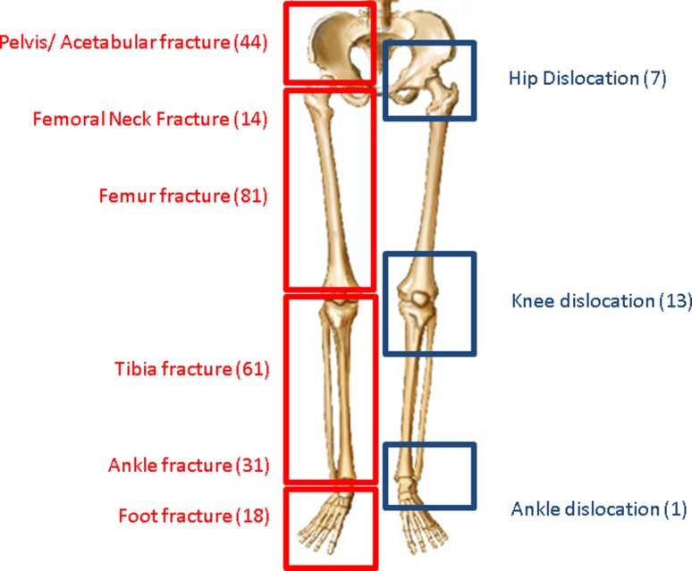 Fig. 1