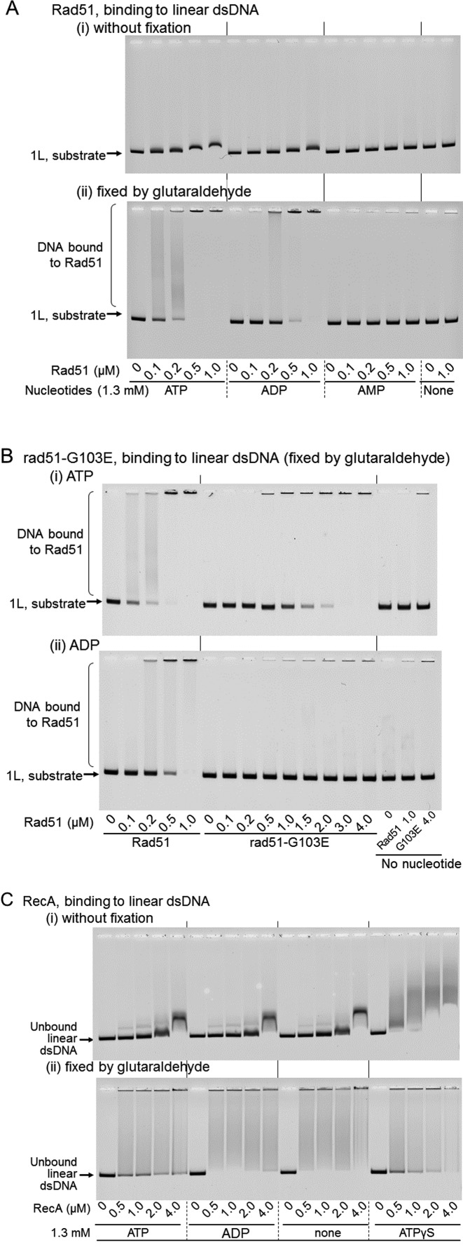 Figure 10.