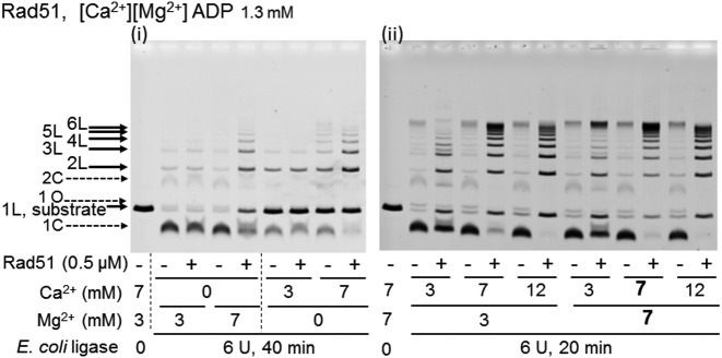 Figure 6.