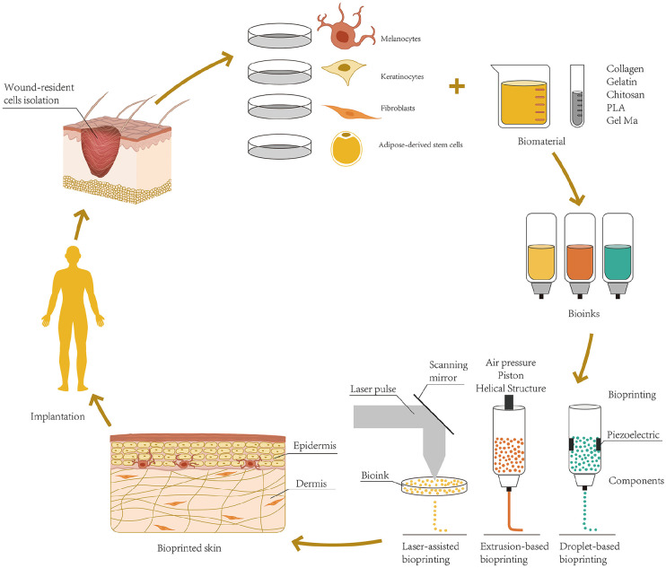 Figure 1.