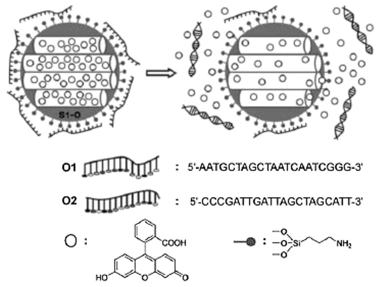 Fig. 4