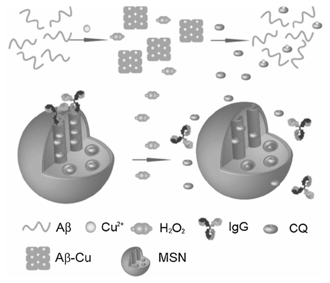 Fig. 12